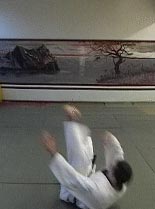 Страховки в айкидо. Мае уширо укеми