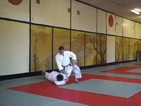 Aikido. Ikkyo