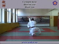 Aikido. Ikkyo ura