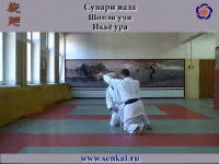 Aikido. Ikkyo ura