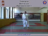 Айкидо. Ирими наге