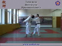 Айкидо. Ирими наге