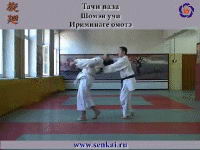 Айкидо. Ирими наге