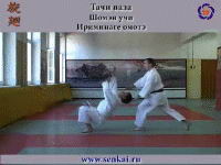 Айкидо. Ирими наге