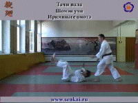 Айкидо. Ирими наге
