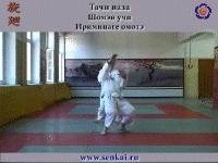 Айкидо. Ирими наге