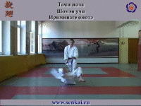 Айкидо. Ирими наге
