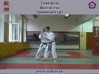 Айкидо. Ириминаге