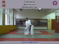 Айкидо. Ириминаге