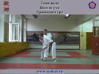 Айкидо. Ириминаге