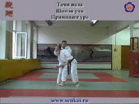 Айкидо. Ириминаге
