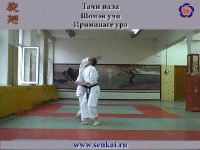 Айкидо. Ириминаге