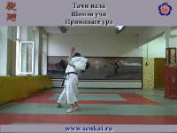 Айкидо. Ириминаге