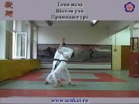 Айкидо. Ириминаге