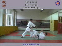 Айкидо. Ириминаге
