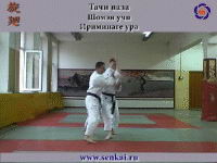 Айкидо. Ириминаге