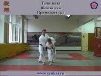 Айкидо. Ириминаге