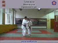 Айкидо. Ириминаге