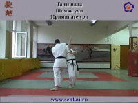 Айкидо. Ириминаге