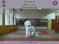 Айкидо. Ириминаге