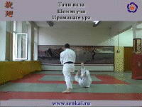 Айкидо. Ириминаге