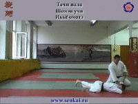 Айкидо. Икке омоте