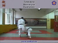Айкидо. Икке омоте