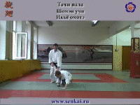 Айкидо. Иккё омотэ