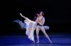 Гастроли балетной труппы Нового национального театра Японии
