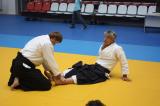 Aikido seminar in Moscow 2010 - Hiroshi Ikeda sensei