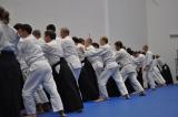 Aikido seminar in Moscow 2010 - Hiroshi Ikeda sensei