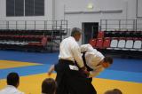 Aikido seminar in Moscow 2010 - Hiroshi Ikeda sensei