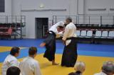 Aikido seminar in Moscow 2010 - Hiroshi Ikeda sensei