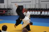 Aikido seminar in Moscow 2010 - Hiroshi Ikeda sensei