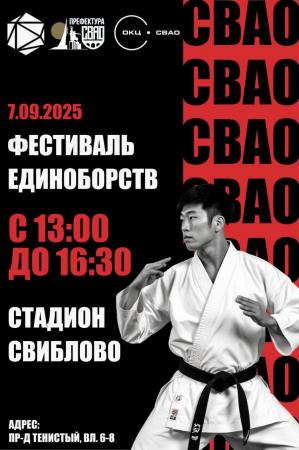 Фестиваль Единоборств СВАО